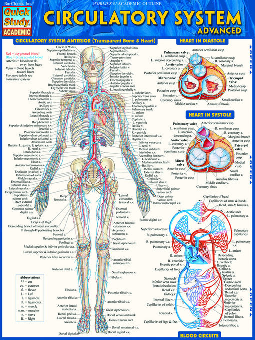 Cover image for Circulatory System Advanced